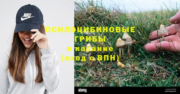 гидра Балабаново