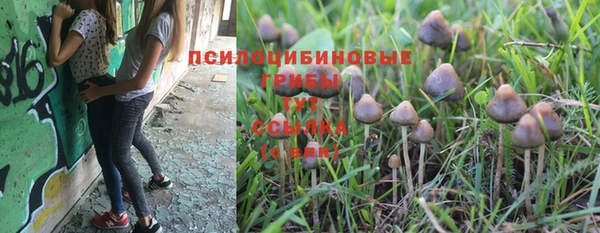 тгк Балахна