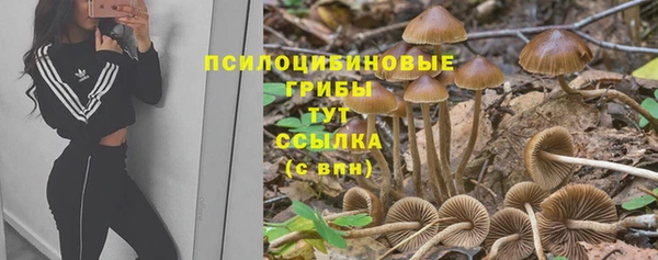 гидра Балабаново